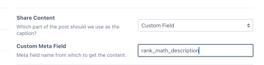 Entering The Rnak_Math_Description Custom Field Name Into The Settings In Order To Automate  The Sharing Of The Rank Math Seo Descriptions Into Social Media Posts Using Revive Socials 